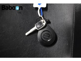 Harley-Davidson  FXLRS Low Rider S 114 picture 26