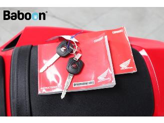 Honda CBR 600 RR ABS picture 25