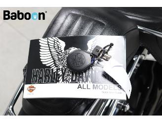 Harley-Davidson  FLSTN Softail Deluxe ABS picture 24