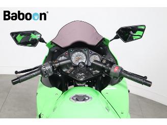 Kawasaki Ninja 250 R  picture 12