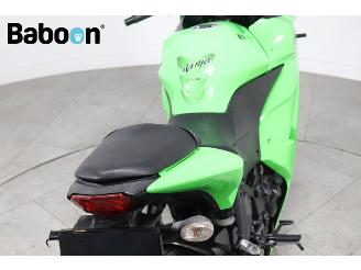 Kawasaki Ninja 250 R  picture 13