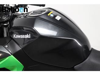Kawasaki  Ninja 400 picture 11