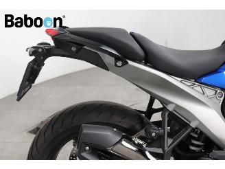 BMW  R 1300 R picture 14