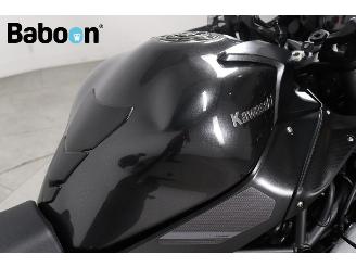 Kawasaki  Ninja H2 SX picture 23