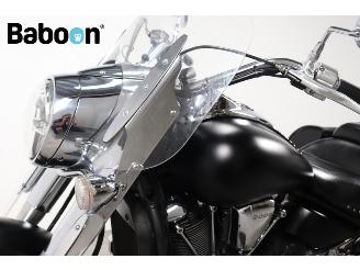Kawasaki VN 2000  picture 21