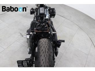 Harley-Davidson  FXDWG Dyna Wide Glide picture 15