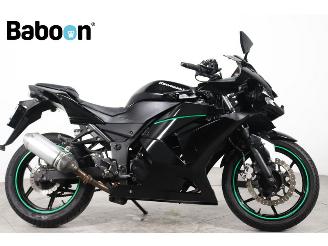 Unfall Kfz Motorrad Kawasaki Ninja 250 R  2010/1