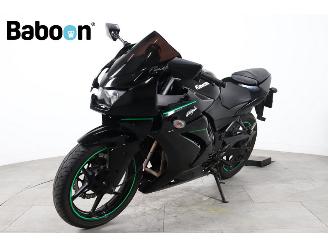 Kawasaki Ninja 250 R  picture 4