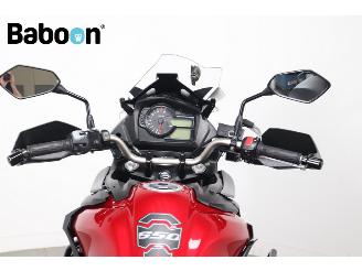 Suzuki DL 650 V-Strom ABS picture 16