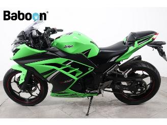 Kawasaki  Ninja 300 picture 5