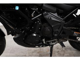Kawasaki Versys 650 ABS picture 13