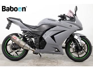 danneggiata motocicli Kawasaki Ninja 250 R  2009/5