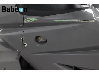 Kawasaki Ninja 250 R  picture 16