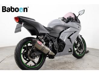 Kawasaki Ninja 250 R  picture 2