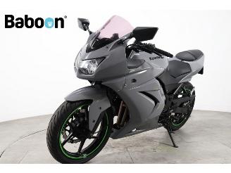 Kawasaki Ninja 250 R  picture 6