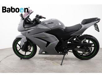 Kawasaki Ninja 250 R  picture 5