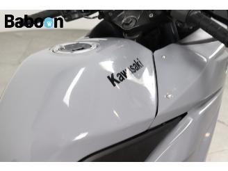 Kawasaki Ninja 250 R  picture 12