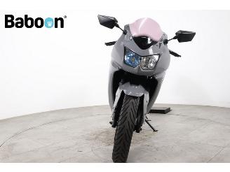 Kawasaki Ninja 250 R  picture 7