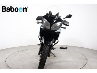 Suzuki DL 650 V-Strom picture 7