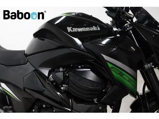 Kawasaki Z 800 ABS e-version picture 18