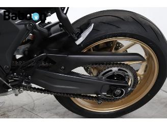 Yamaha  YZF-R7 picture 13