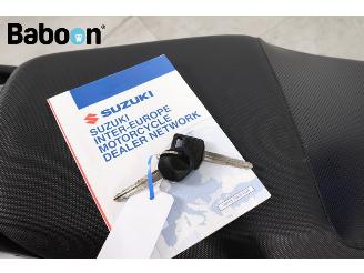 Suzuki GS 500 F picture 24