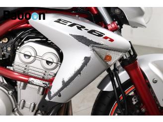 Kawasaki  ER-6 N picture 19