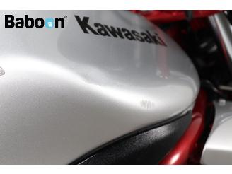 Kawasaki  ER-6 N picture 25