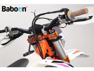 KTM 450 EXC -F Six Days picture 23