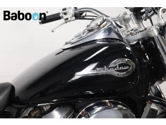 Honda VT 750 C2 Shadow ACE picture 20