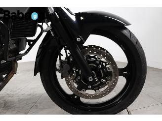Suzuki DL 650 V-Strom picture 9