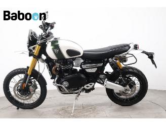 Triumph Scrambler 1200 XE picture 5