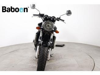 Honda CB 900 F Hornet picture 7