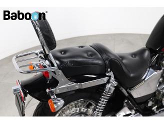 Honda  VT 800 C Shadow picture 14