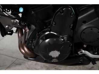 Kawasaki  ER-6N ABS picture 13