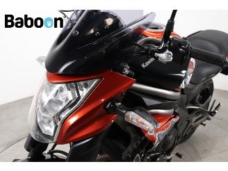 Kawasaki  ER-6N ABS picture 16