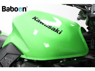 Kawasaki Z 750 ABS picture 18