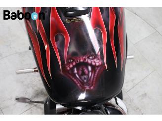Honda VT 750 C2 Shadow ACE picture 11