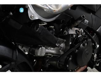 Suzuki  DL 1000 V-Strom ABS picture 14
