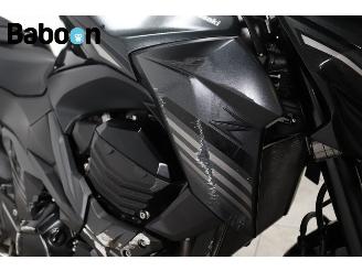 Kawasaki Z 800 ABS e-version picture 17