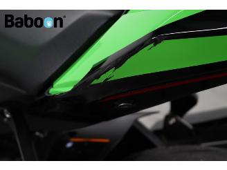Kawasaki  Ninja ZX-10 R picture 10