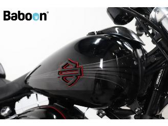 Harley-Davidson  FXSB Breakout picture 18