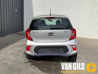  Kia Picanto Picanto (JA), Hatchback, 2017 1.0 12V 2017/7