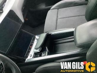 Audi E-tron E-tron Sportback (GEA), SUV, 2019 55 picture 15