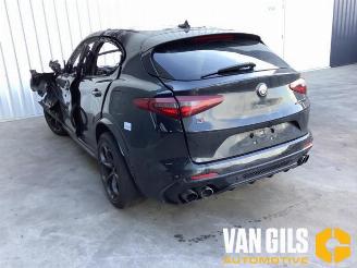 Alfa Romeo Stelvio Stelvio (949), SUV, 2017 2.9 Bi-Turbo V6 24V Q4 picture 8