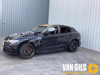 Alfa Romeo Stelvio Stelvio (949), SUV, 2017 2.9 Bi-Turbo V6 24V Q4 picture 11