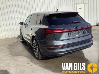 Audi E-tron e-tron (GEN), SUV, 2018 / 2023 55 quattro picture 4