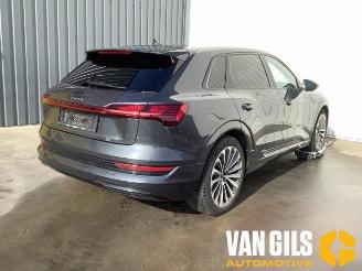 Audi E-tron e-tron (GEN), SUV, 2018 / 2023 55 quattro picture 3