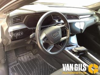 Audi E-tron e-tron (GEN), SUV, 2018 / 2023 55 quattro picture 14