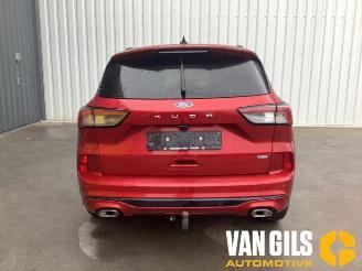 Ford Kuga Kuga III (DFK), SUV, 2019 2.5 PHEV 16V picture 2